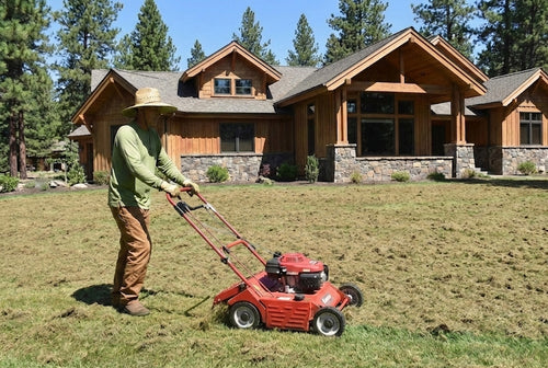 One-time Dethatching