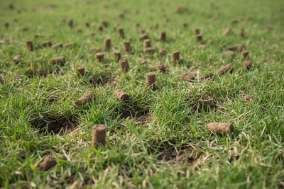 Close up of lawn that was just aerated
